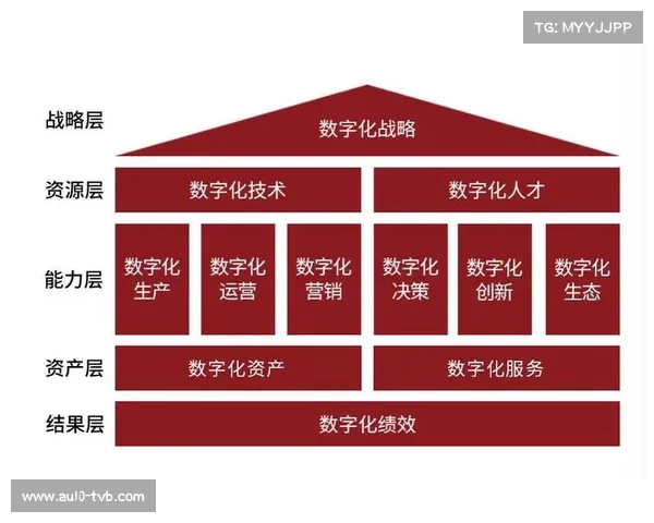 体育数字资产运营团队专业化程度提升。
